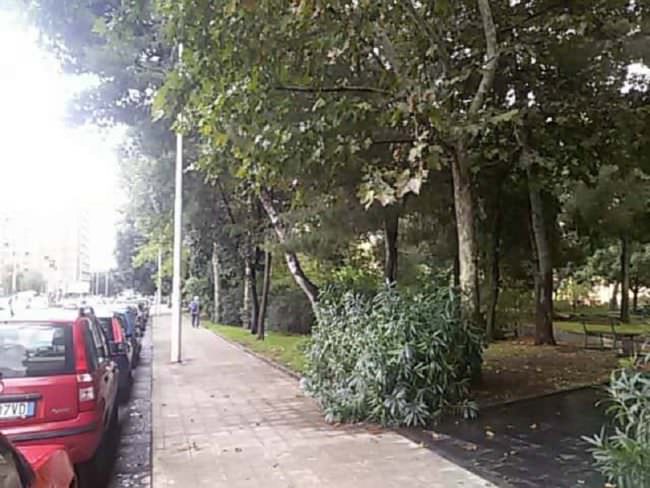 L’impegno di Cittàinsieme nei primi anni ’90 per il parco Falcone