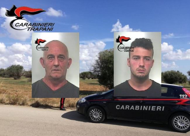 Rubano olive in quantità industriale: arrestati padre e figlio