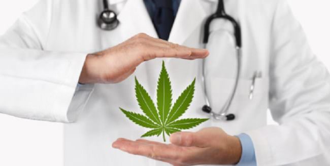 La cannabis e i suoi benefici. L’esperto: “Un aiuto fondamentale per i malati di sclerosi multipla”