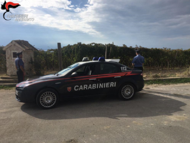 Furto d’uva, 8 quintali rubati e poi restituiti: proprietario “ringrazia” i 4 ladri