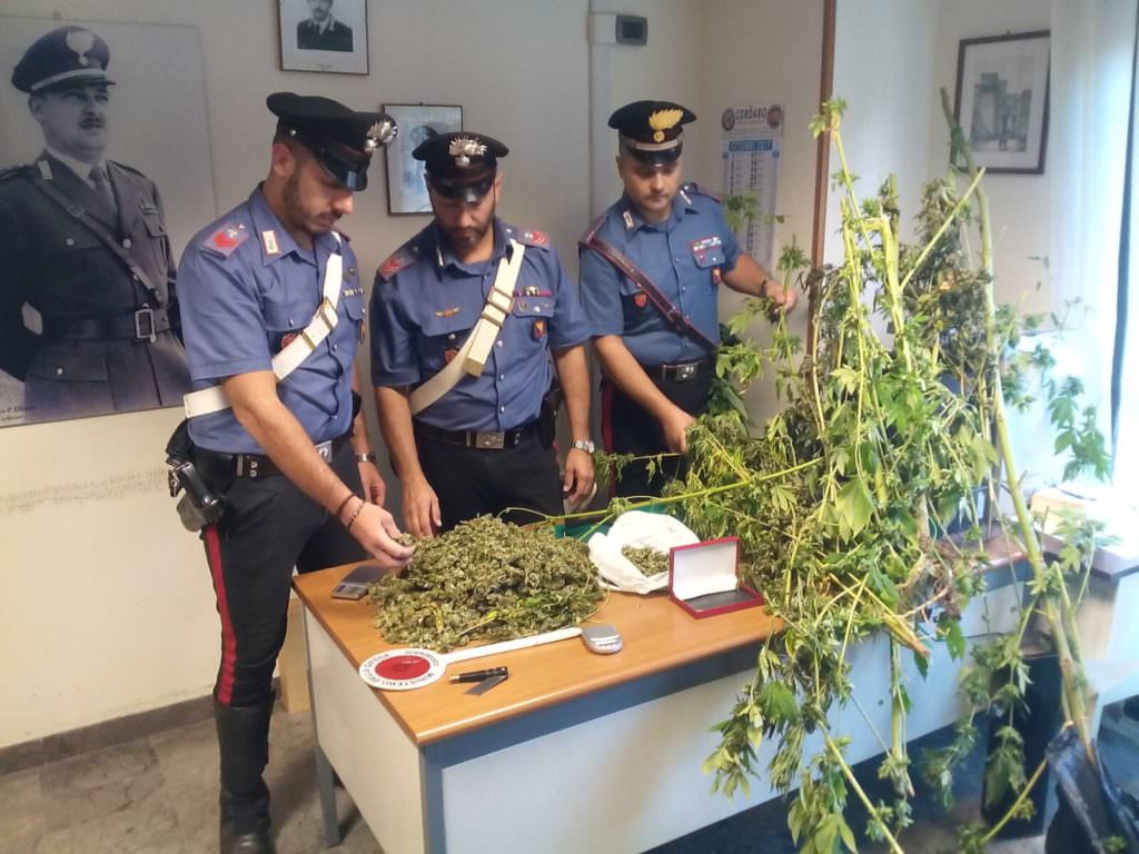 “Tesoro” di marijuana, coltelli e bilancini in casa: arrestato 32enne