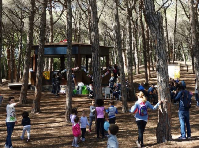Catania immersa nella natura: grande successo per l’evento “Un boschetto in città”
