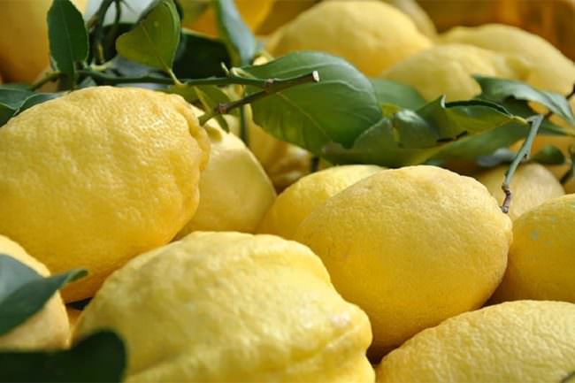 Ficarazzi, rubata circa mezza tonnellata di limoni: due uomini arrestati
