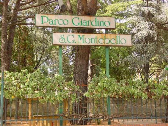 Uomo impiccato ad un pino: orribile ritrovamento in un parco vicino a Giarre