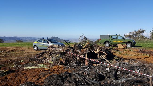 Rifiuti pericolosi e rischio incendi: sequestrata discarica abusiva