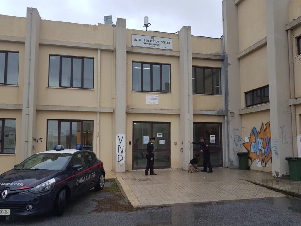Marijuana in un’aiuola vicino liceo: sarebbe stata lanciata da una finestra dell’istituto