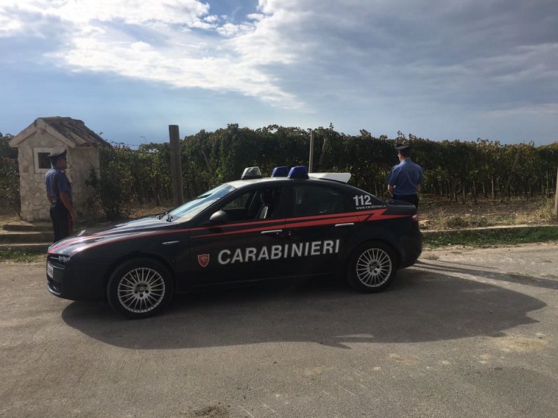Cerca di rubare delle cassette d’uva da un vigneto in pieno giorno, viene beccato in flagrante