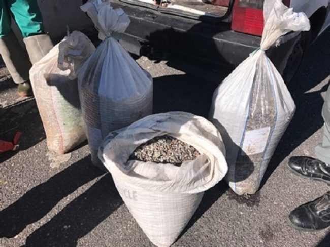 Oasi del Simeto: scattano altre due denunce per pesca illegale e deterioramento habitat