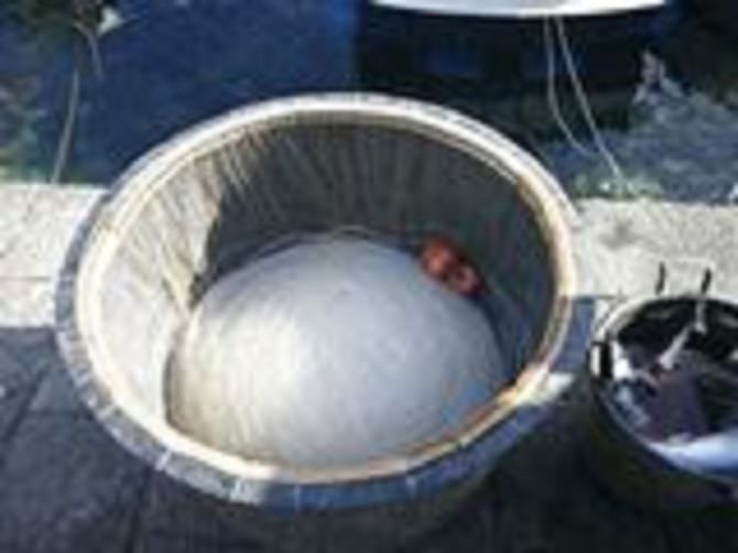 Pesca illegale: Guardia Costiera sequestra 140 chili di “neonata”