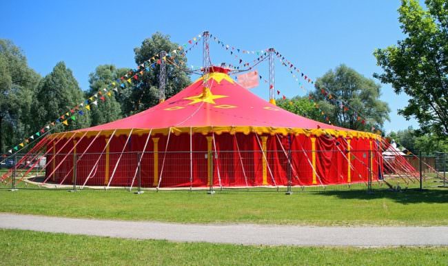 Circo, una vita girovagando tra arte e tradizione. La storia di Mia Orifici