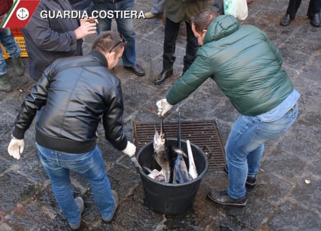 Controlli nella pescheria di Catania: sequestrati diversi chili di pesce spada e sarde