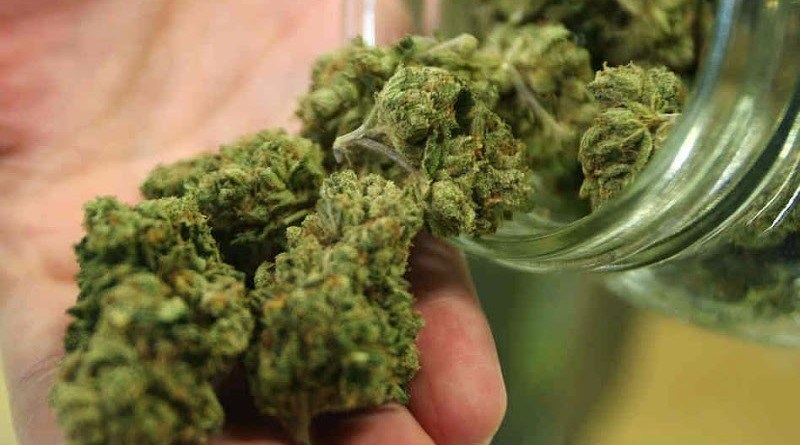 Scoperta mini serra di marijuana: in manette un 41enne