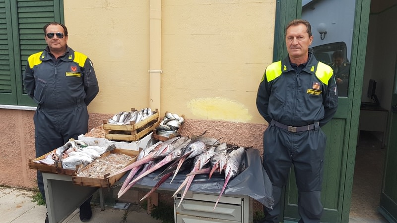 Palermo: sequestrati 100 chili di pesce non etichettato, multe per 13mila euro