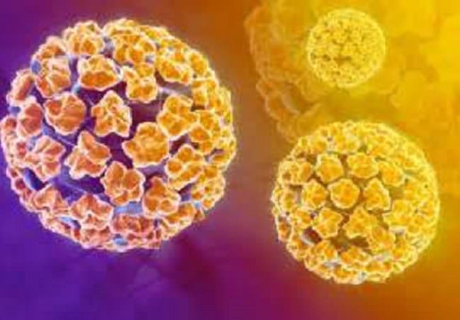 Introduzione dell’HPV Test nello screening del cervicocarcinoma