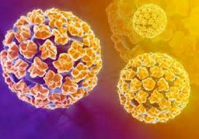 Introduzione dell’HPV Test nello screening del cervicocarcinoma