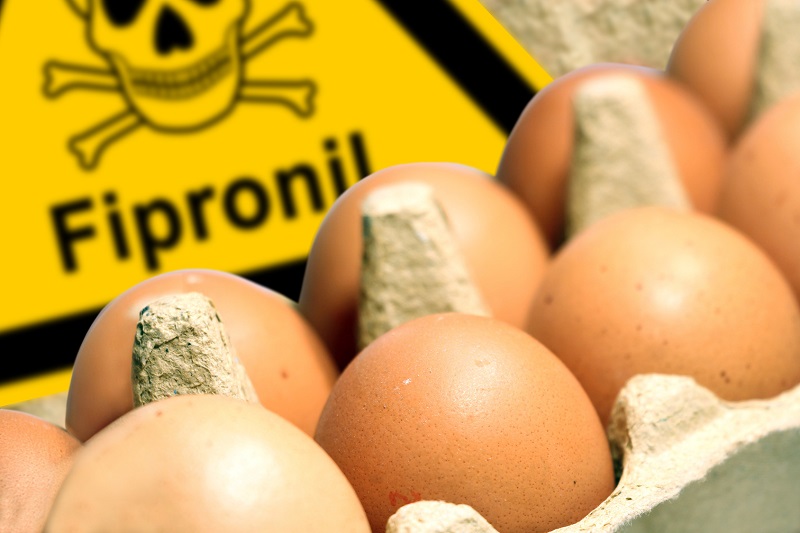 Uova e derivati con il Fipronil: il Ministero della Salute lancia l’allarme