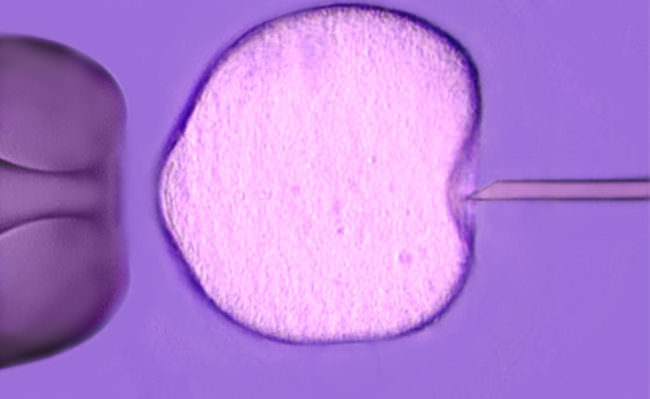 CRISPR: modificando il DNA, malattie genetiche fino ad oggi incurabili potrebbero essere eliminate con un “taglio” microscopico