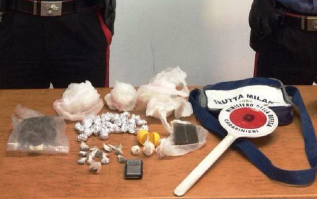 Hashish, marijuana e cocaina nella cuccia della sua cagnetta: in manette 17enne