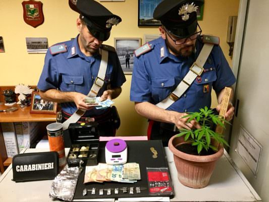 Hashish e cannabis in casa, 18enne in manette