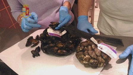 Cozze tossiche in ipermercato di Catania, tuona il Codacons: “Risarcire i clienti che le hanno acquistate”