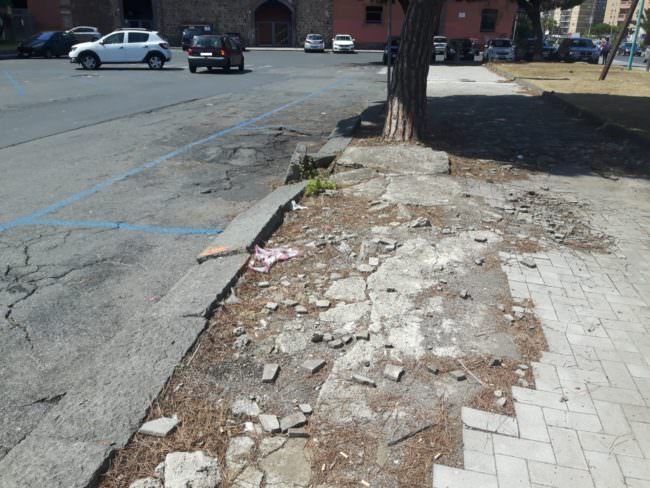 Viale Africa, il degrado ha messo le ‘radici’: marciapiedi distrutti e asfalto rialzato – FOTO