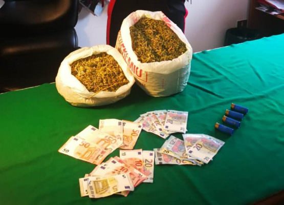 Piantagione di marijuana allacciata abusivamente al contatore, in manette un 32enne