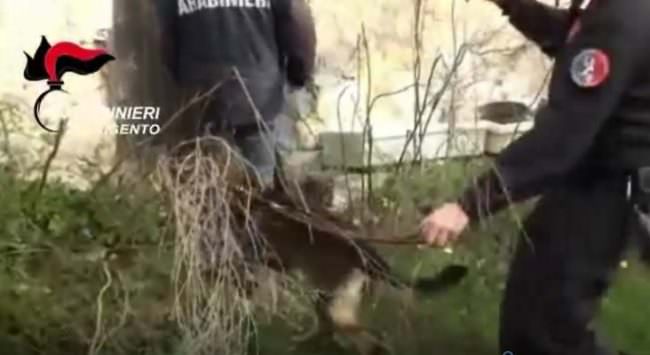 Nuova stangata alla mafia agrigentina e palermitana, estorsione a 7 aziende: 10 arresti – NOMI e VIDEO
