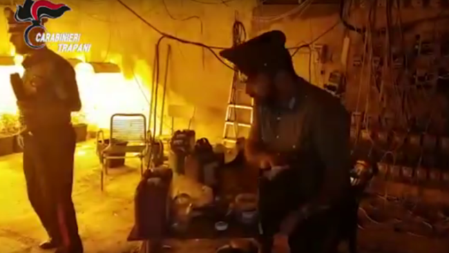 Marijuana e business: incastrate 5 persone dopo le intercettazioni. VIDEO