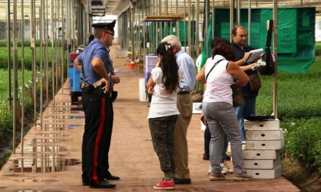 Caporalato e lavoro in nero, passato a setaccio il Siracusano: oltre 40mila euro di sanzioni in 12 aziende