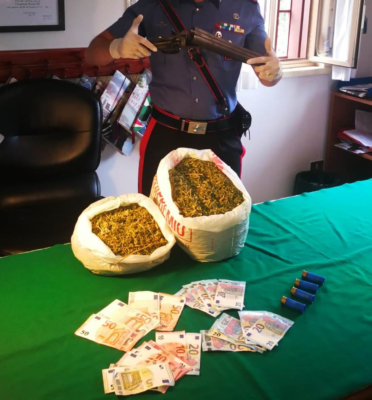 Trovata dai carabinieri serra artigianale con 68 piante di marijuana