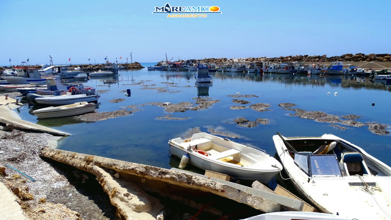 Spiaggia di Triscina riempita dai rifiuti, Mareamico denuncia: “Intervenga la Regione Siciliana” – VIDEO e FOTO