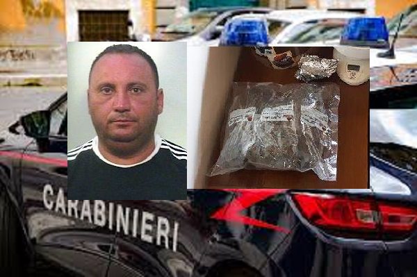 Piantagione di marijuana e buste pronte per lo spaccio a Motta: un arresto