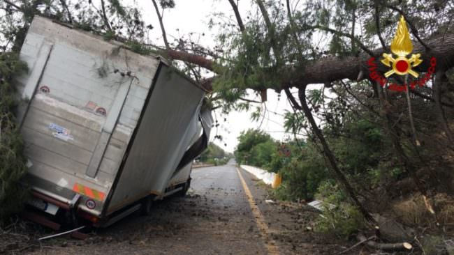 Albero crolla sul tetto di un camion sulla A18, ferite le persone a bordo: code chilometriche e autostrada chiusa