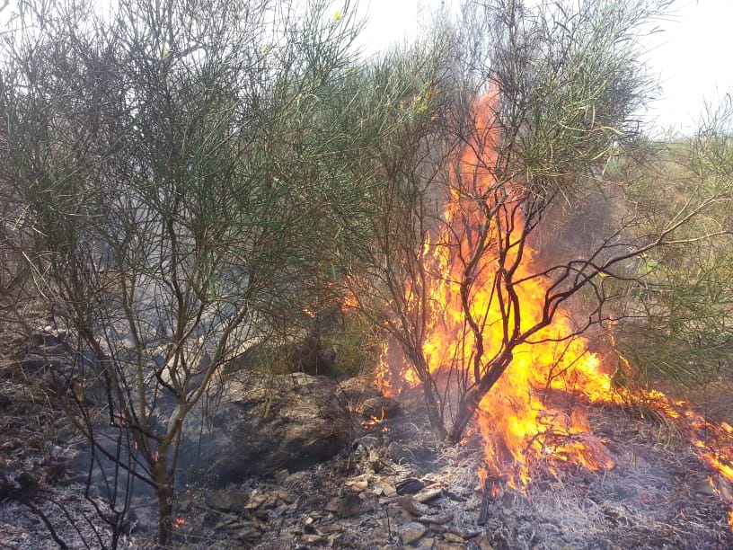 Incendio in un fondo agricolo, fermato il piromane: rischio per le abitazioni