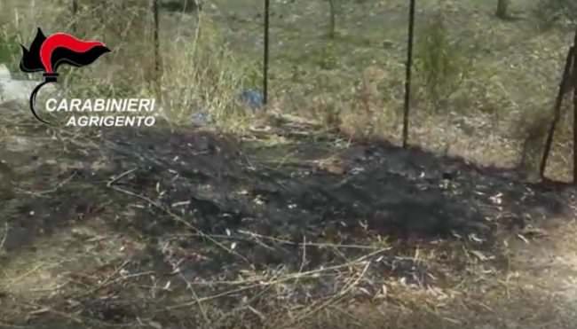 Beccato mentre appicca incendio: piromane tenta la fuga, ma dura poco – VIDEO