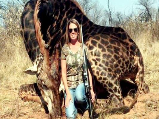 Uccide una giraffa e posta la foto su Facebook: lo sdegno e l’orrore degli animalisti