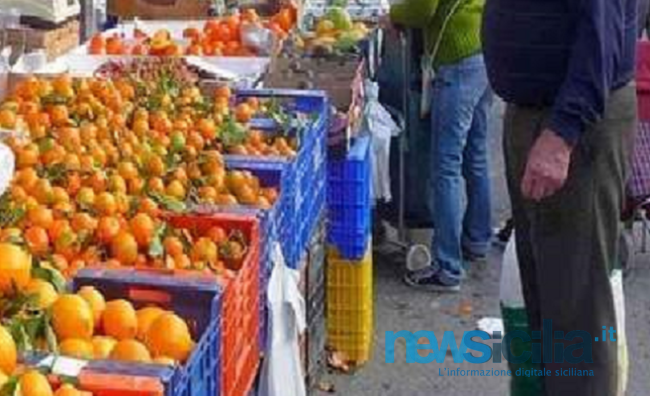 Vendeva frutta e verdura ma la moglie percepiva il Reddito di Cittadinanza: denunce, multe e sequestri