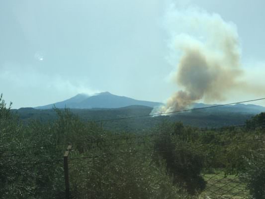 Fiamme e fumo nero: brucia il Parco dell’Etna tra Linguaglossa e Piedimonte Etneo