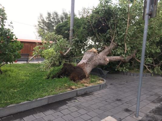 Ingenti danni provocati dal forte vento, Comune di Riposto chiede stato di calamità – FOTO