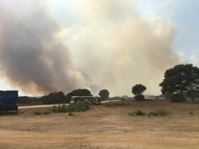 Selinunte, vasto incendio nel parco archeologico: visitatori e personale evacuato, canadair in azione. FOTO e VIDEO