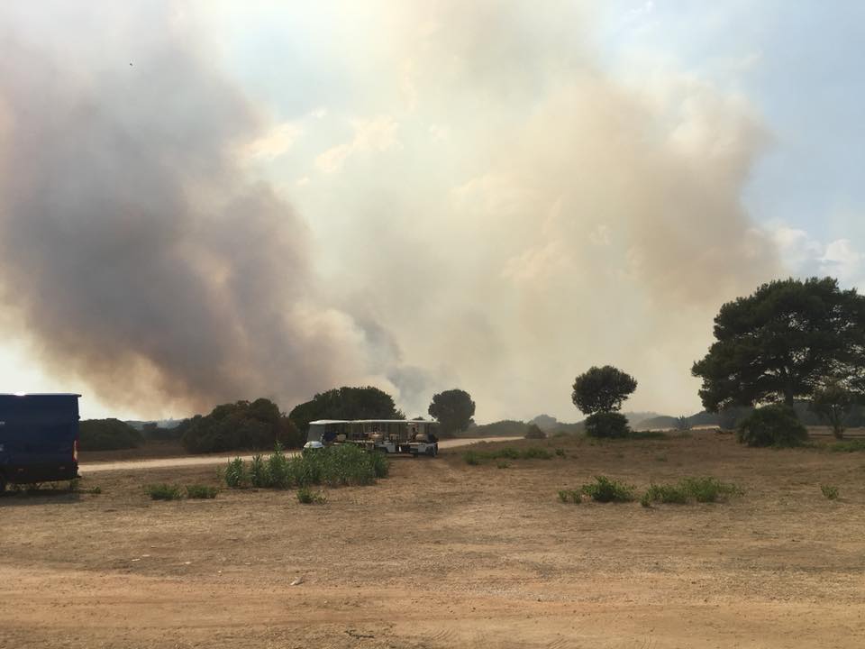 Selinunte, vasto incendio nel parco archeologico: visitatori e personale evacuato, canadair in azione. FOTO e VIDEO