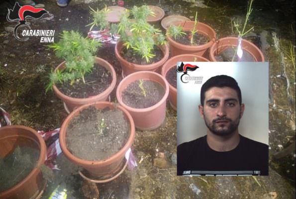Casolare abbandonato come laboratorio per droga: in manette 22enne – FOTO