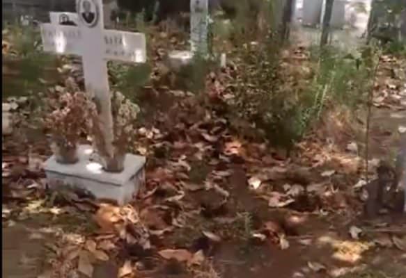 “Difficoltà a trovare i propri cari”: cimitero di Belpasso tra maltempo e incuria – VIDEO