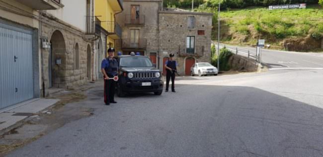 Pascolo abusivo in terreno privato: denunciato allevatore 56enne, sanzione da 11mila euro