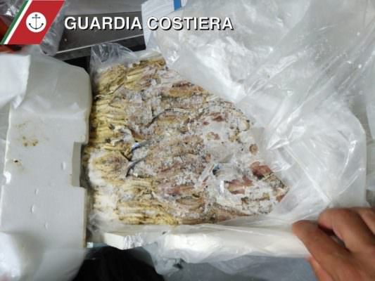 Controlli a tappeto sui prodotti ittici a Catania: sequestrato pesce non idoneo al consumo umano. LE FOTO