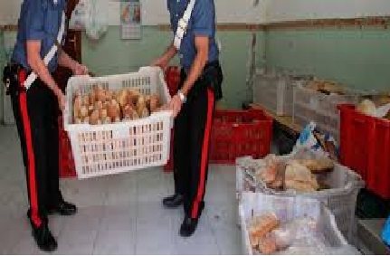 Gravi carenze igienico-sanitarie: sanzione da mille euro e attività sospesa in un panificio