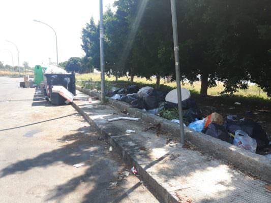 Catania, i “furbetti” di via Nicola Calipari: immondizia gettata in strada e aiuole senza alcuna sanzione