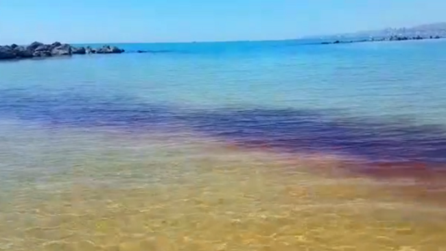 Chiazza rossa in mare: “Sono meduse urticanti, evitate ogni contatto”