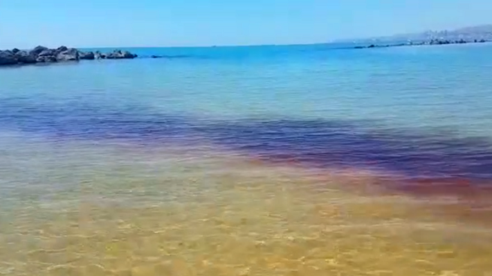 Chiazza rossa in mare: “Sono meduse urticanti, evitate ogni contatto”