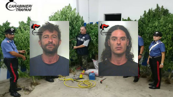 Business della droga, scoperta piantagione di cannabis nel Trapanese: due arresti. IL VIDEO Business della droga, scoperta piantagione di cannabis nel Trapanese: due arresti. IL VIDEO